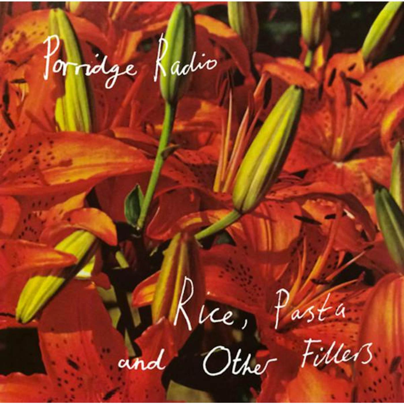 Porridge Radio RICE PASTA & OTHER FILLERS CD