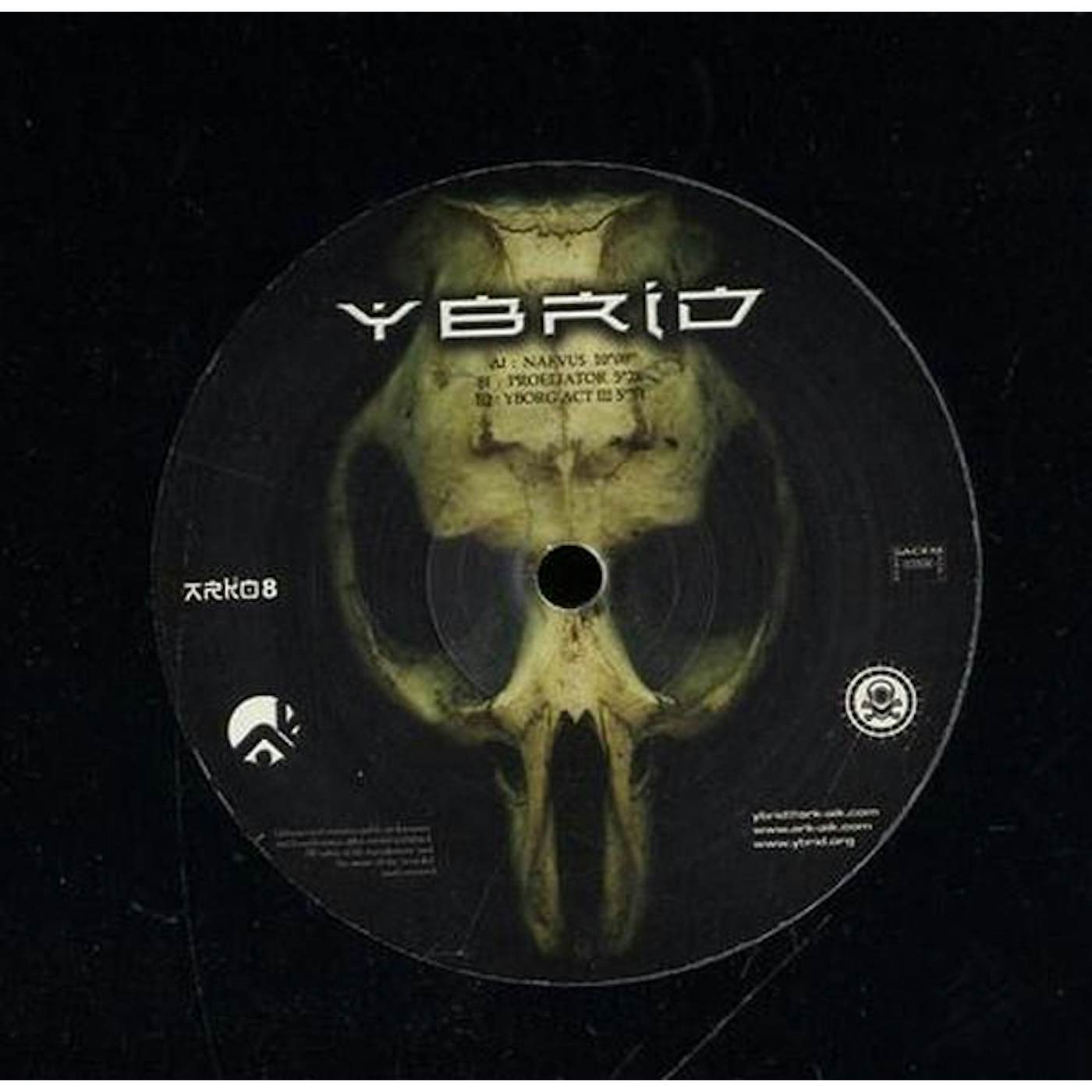 Ybrid NAEVUS Vinyl Record