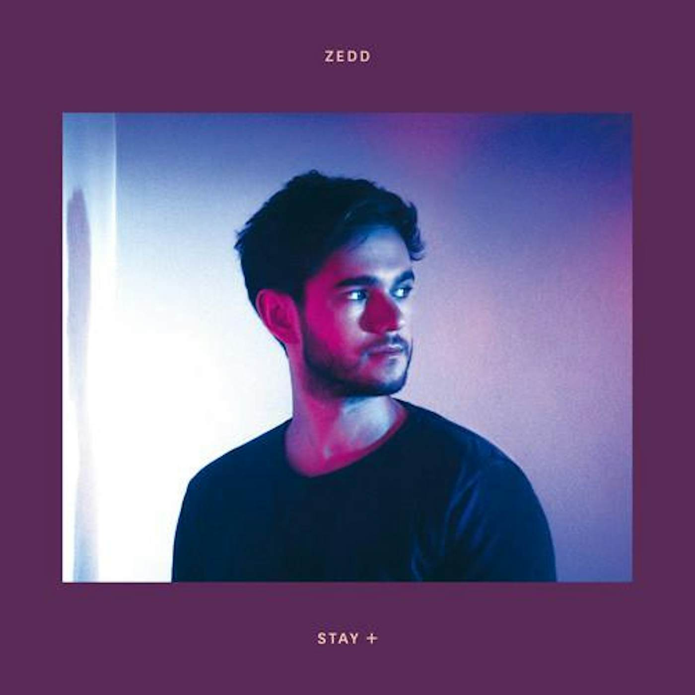 Zedd STAY + CD