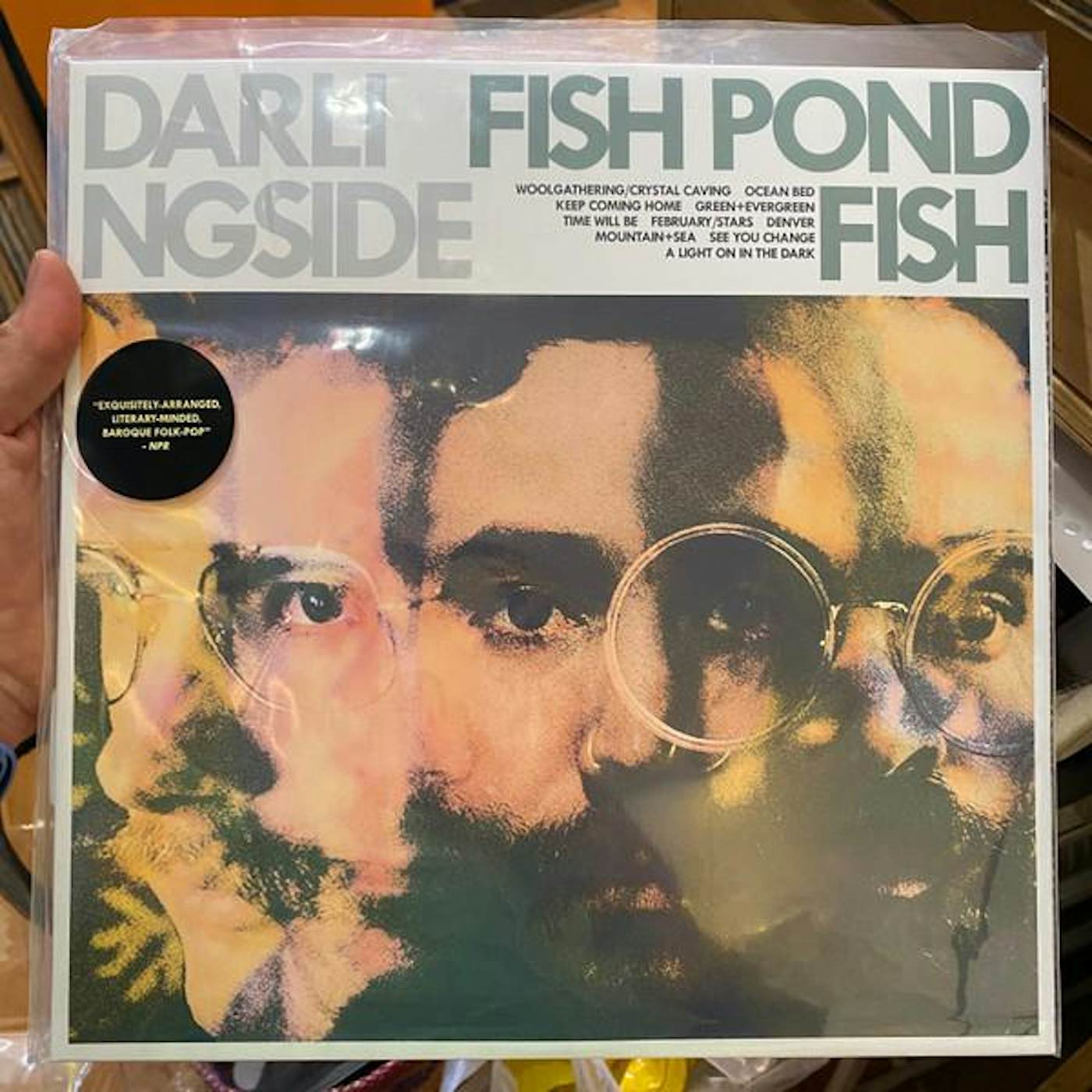 Darlingside FISH POND FISH Vinyl Record - Limited Edition