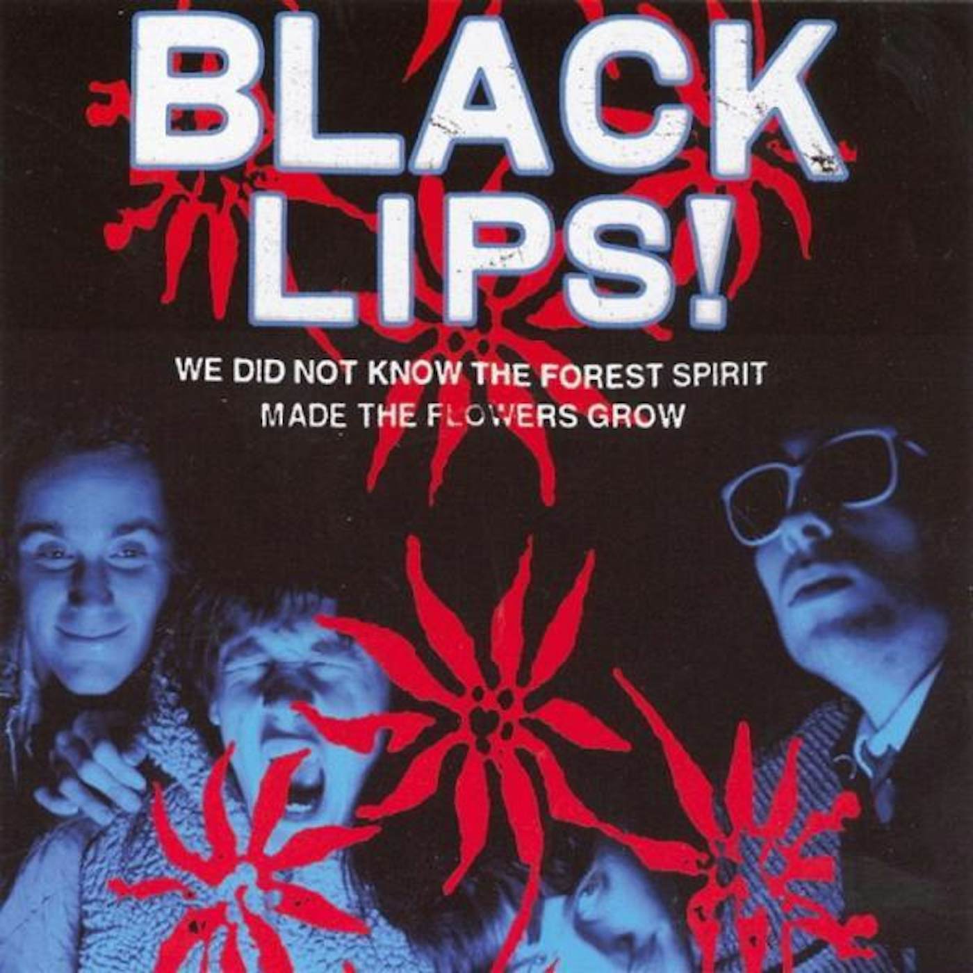 Black Lips We Did Not Know the Forest Spirit Made the Flowers Grow Vinyl Record