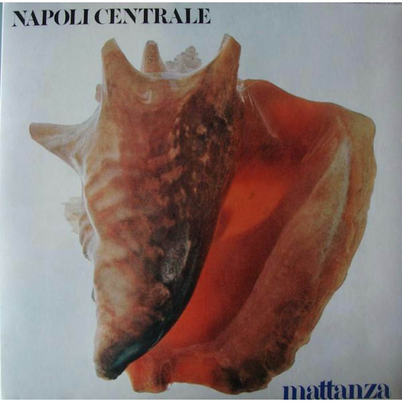 Napoli Centrale Vinyl Record