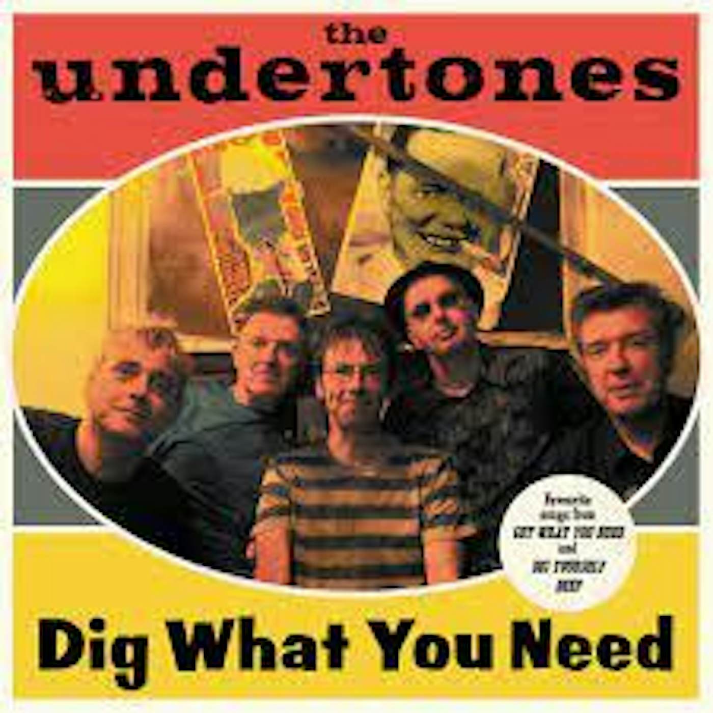 The Undertones DIG WHAT YOU NEED CD