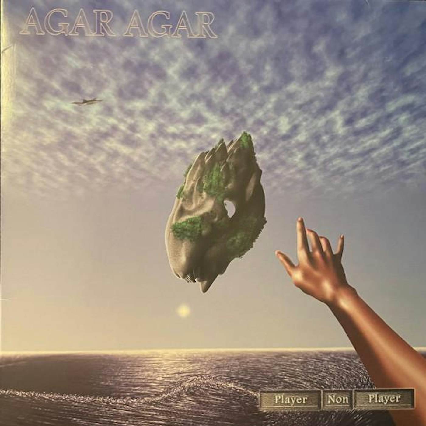 Agar Agar PLAYER NON PLAYER Vinyl Record