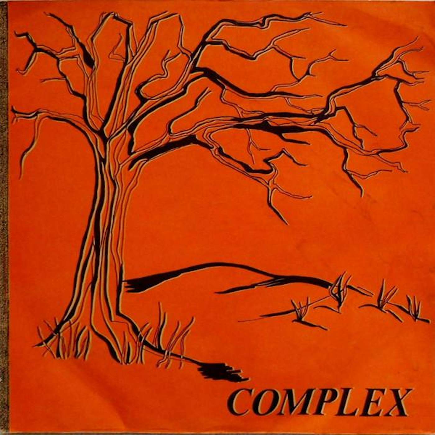 COMPLEX Vinyl Record