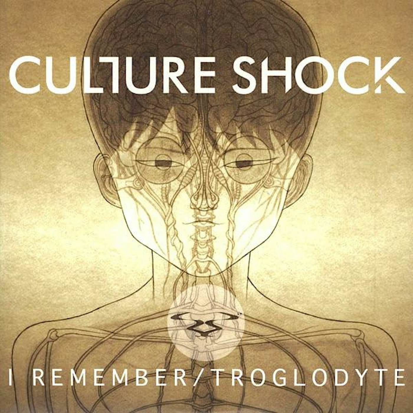Culture Shock I REMEMBER/TROGLODYTE Vinyl Record