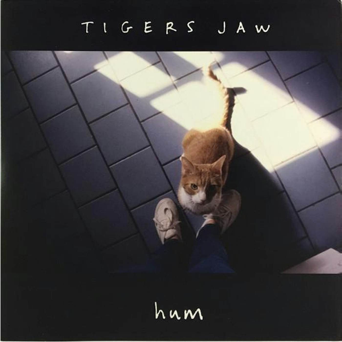 Tigers Jaw Hum Vinyl Record