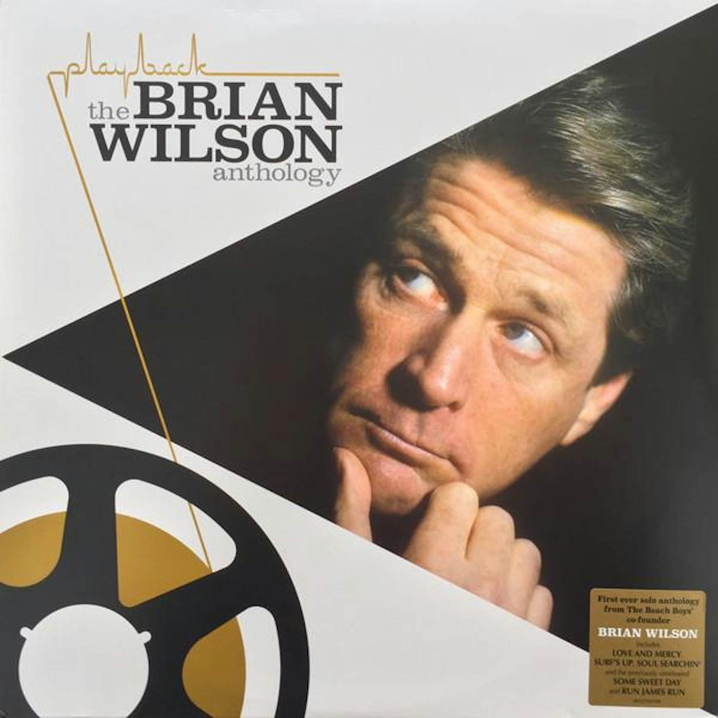 PLAYBACK:THE BRIAN WILSON Vinyl Record
