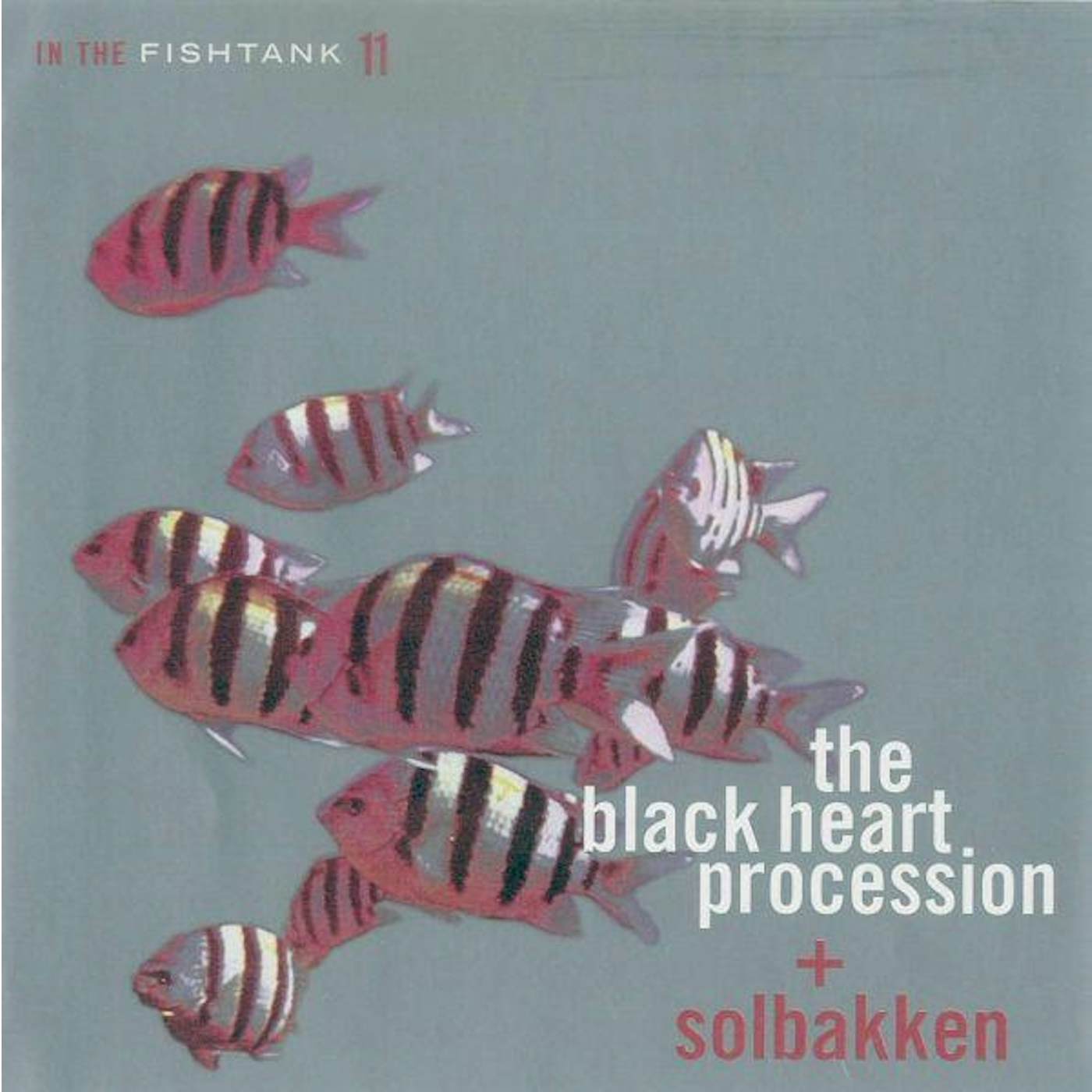 The Black Heart Procession IN THE FISHTANK CD