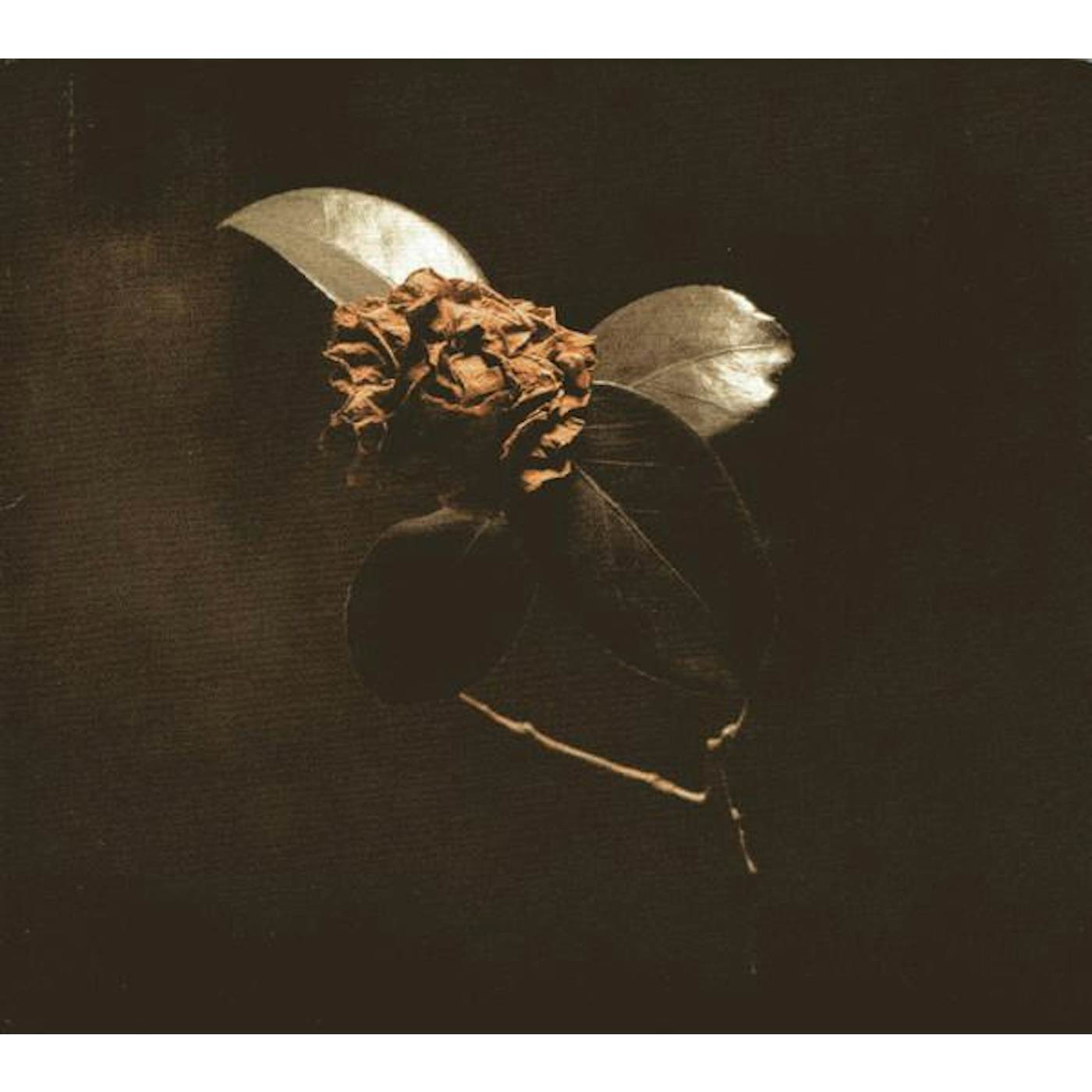 St. Paul & The Broken Bones YOUNG SICK CAMELLIA CD