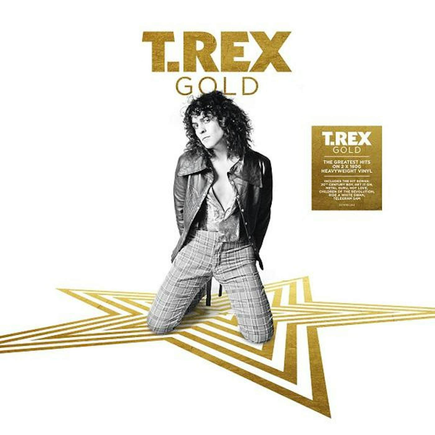T. Rex GOLD Vinyl Record