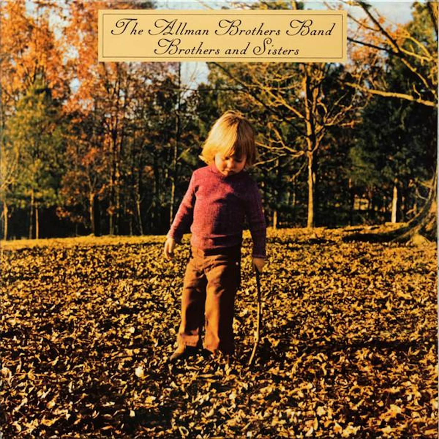 Allman Brothers Band BROTHERS & SISTERS Vinyl Record