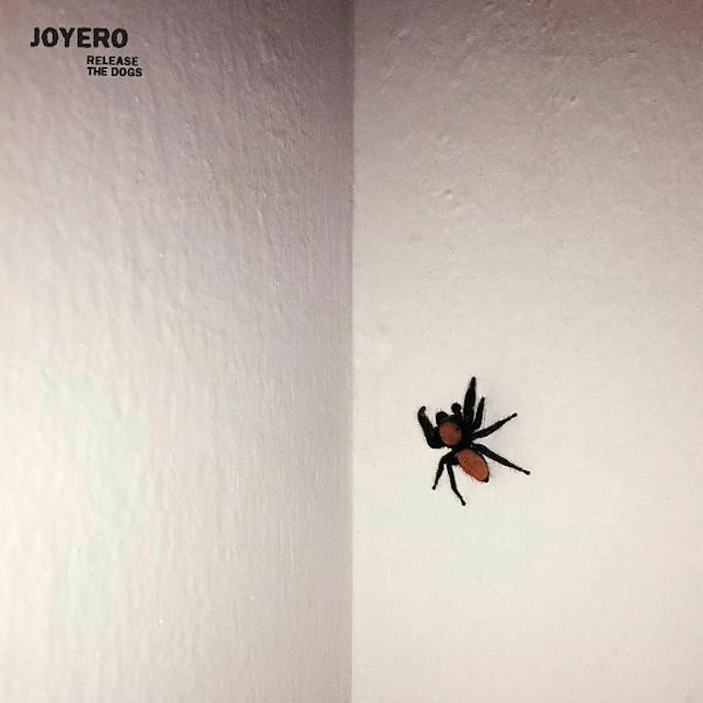 Joyero RELEASE THE DOGS (ORANGE SWIRL VINYL/7INCH/DL CODE) (I) Vinyl Record