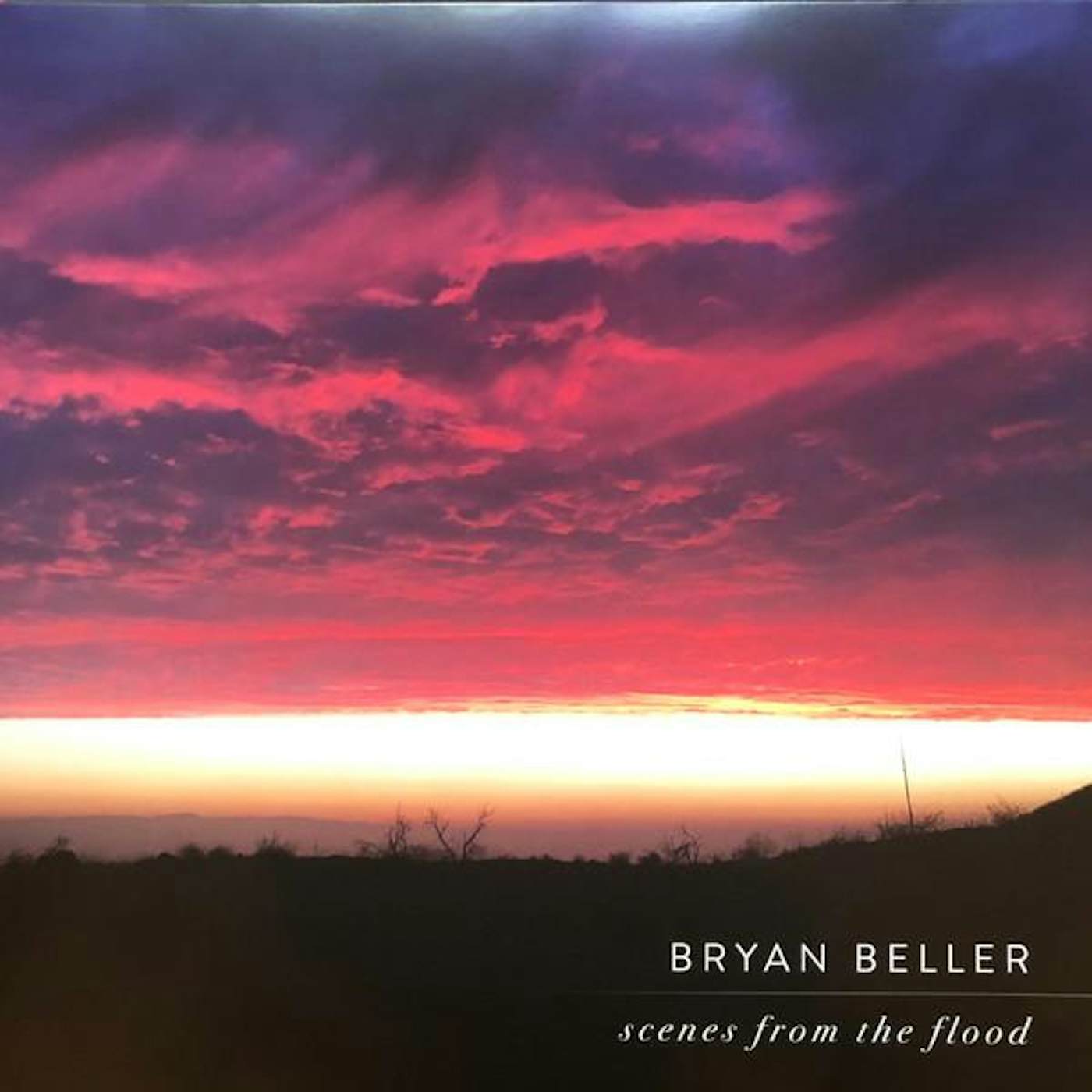 Bryan Beller cenes From The Flood (2LP) Vinyl Record