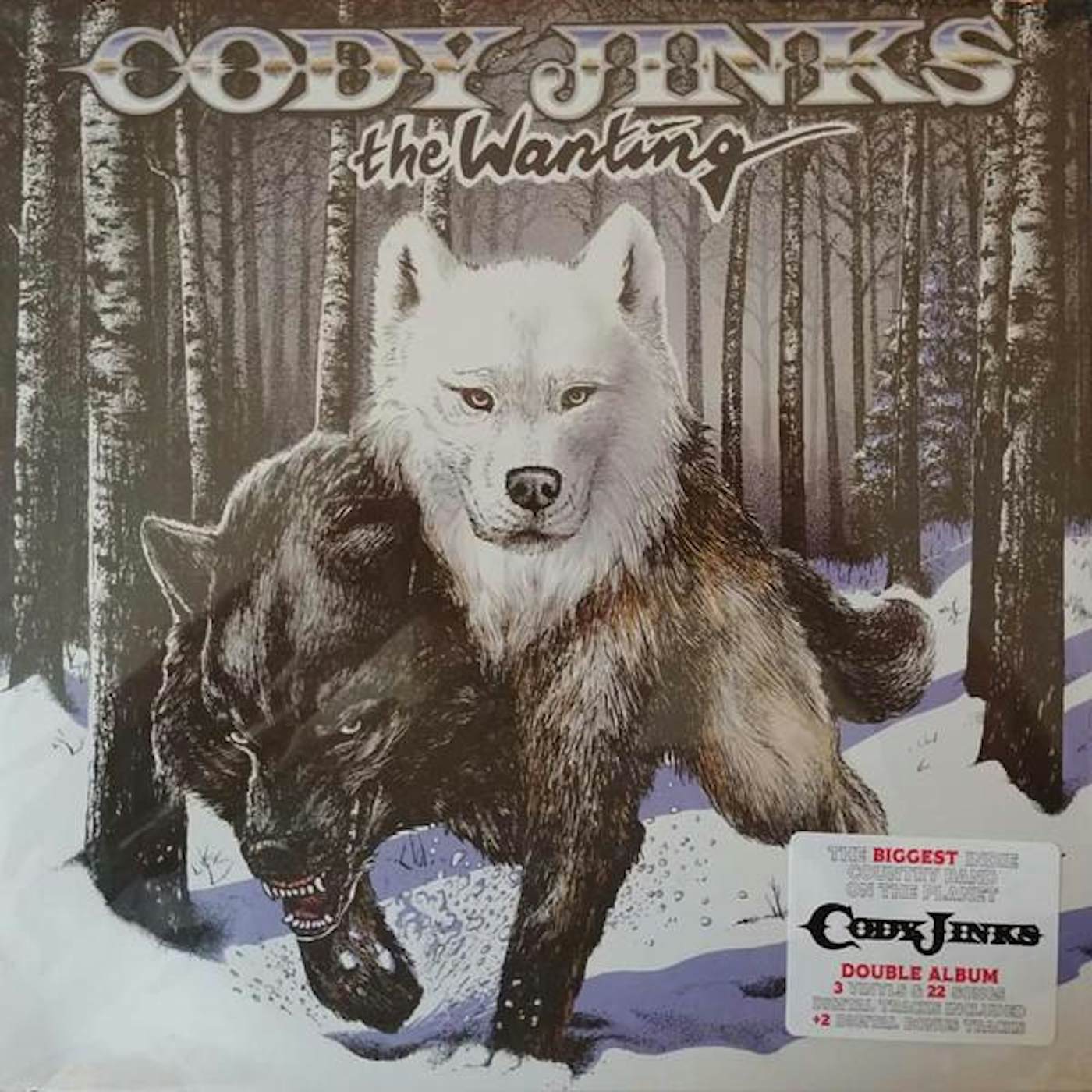 Cody Jinks WANTING AFTER THE FIRE (180G/SUNBURST VINYL/DL CARD) Vinyl Record