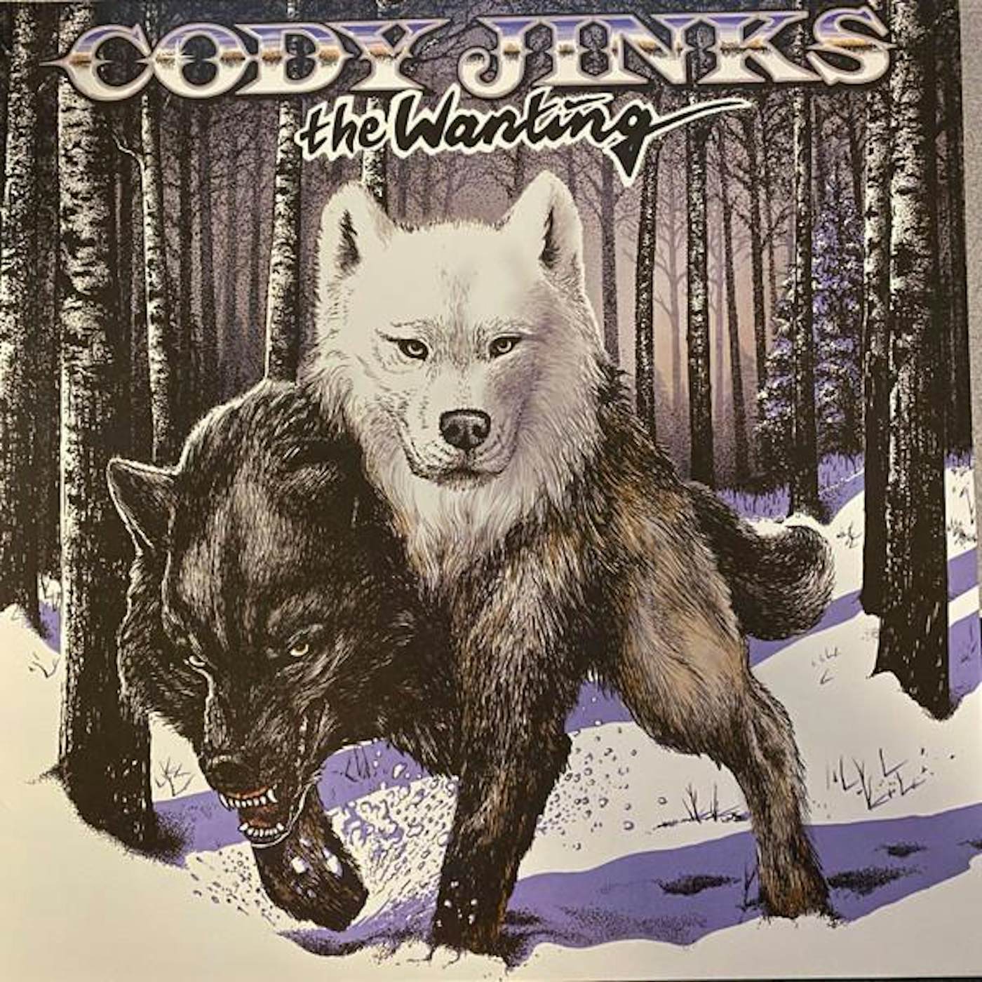 Cody Jinks WANTING AFTER THE FIRE (180G) Vinyl Record