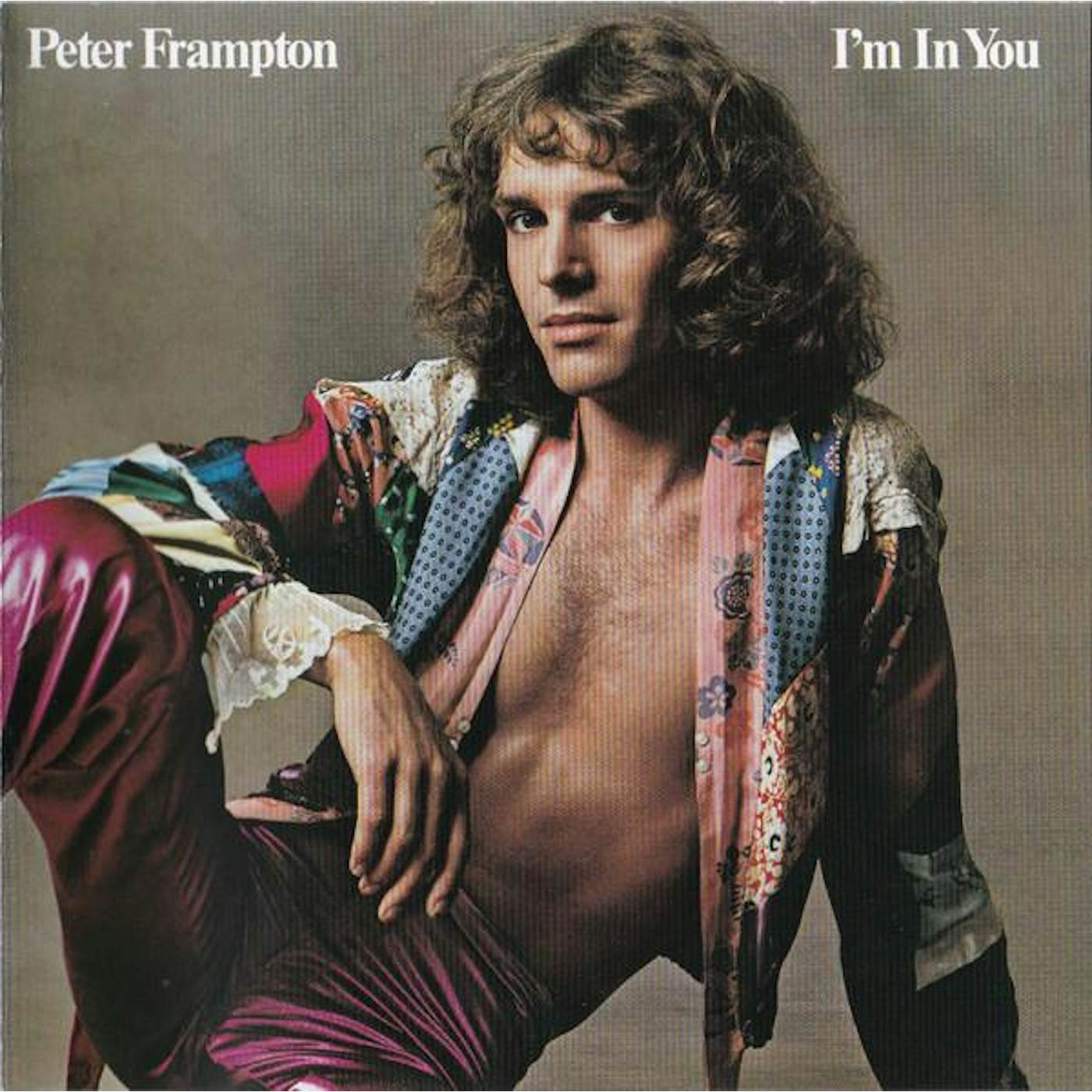 Peter Frampton I'M IN YOU (IMPORT) CD