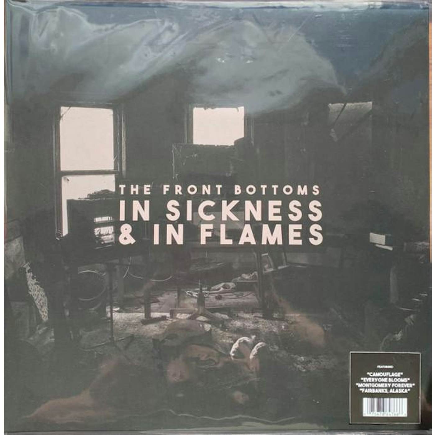 The Front Bottoms In Sickness & In Flames Vinyl Record