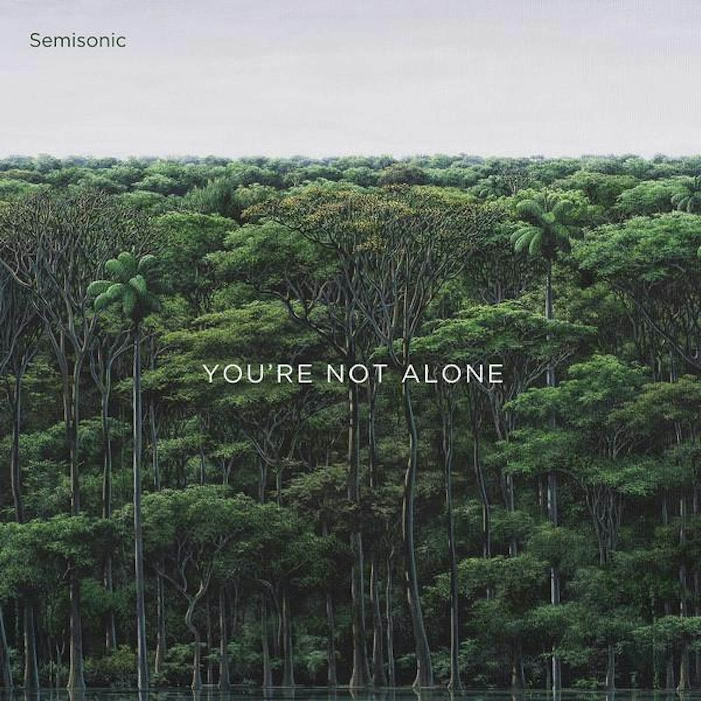 Semisonic YOU'RE NOT ALONE CD