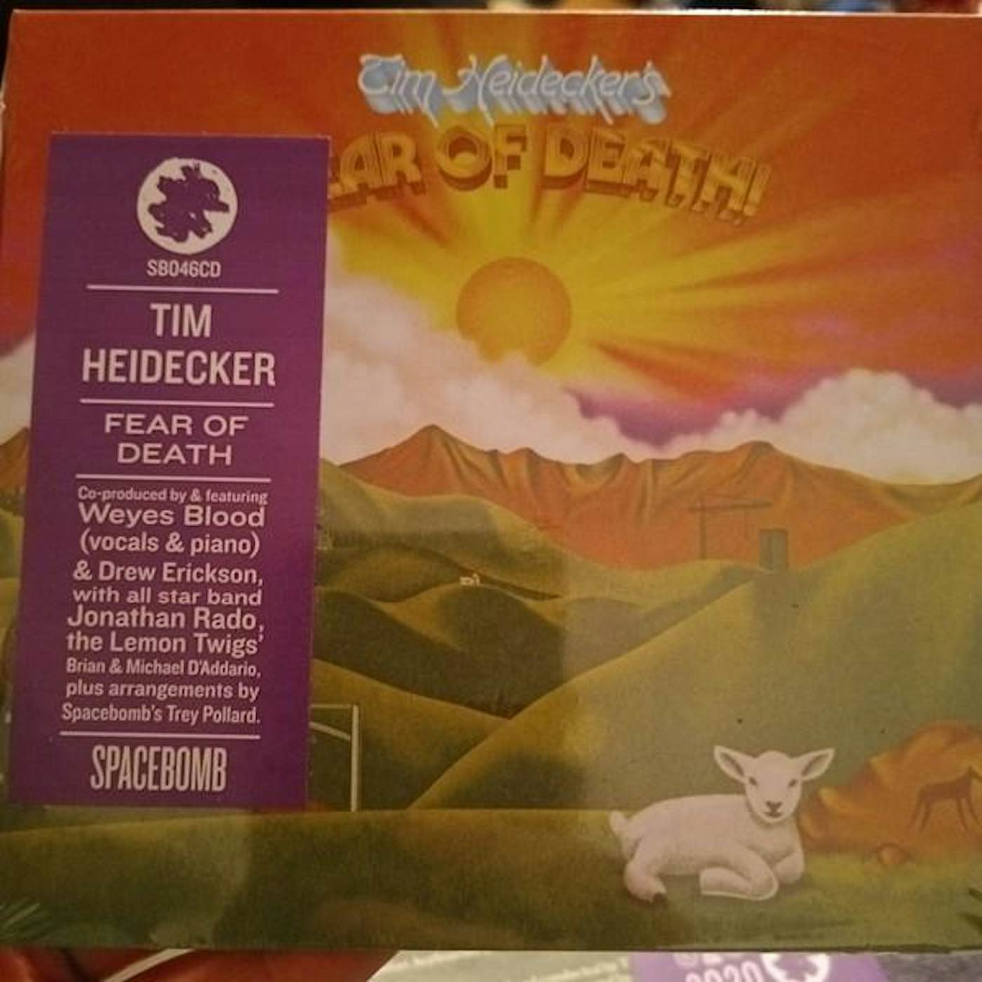 Tim Heidecker FEAR OF DEATH CD