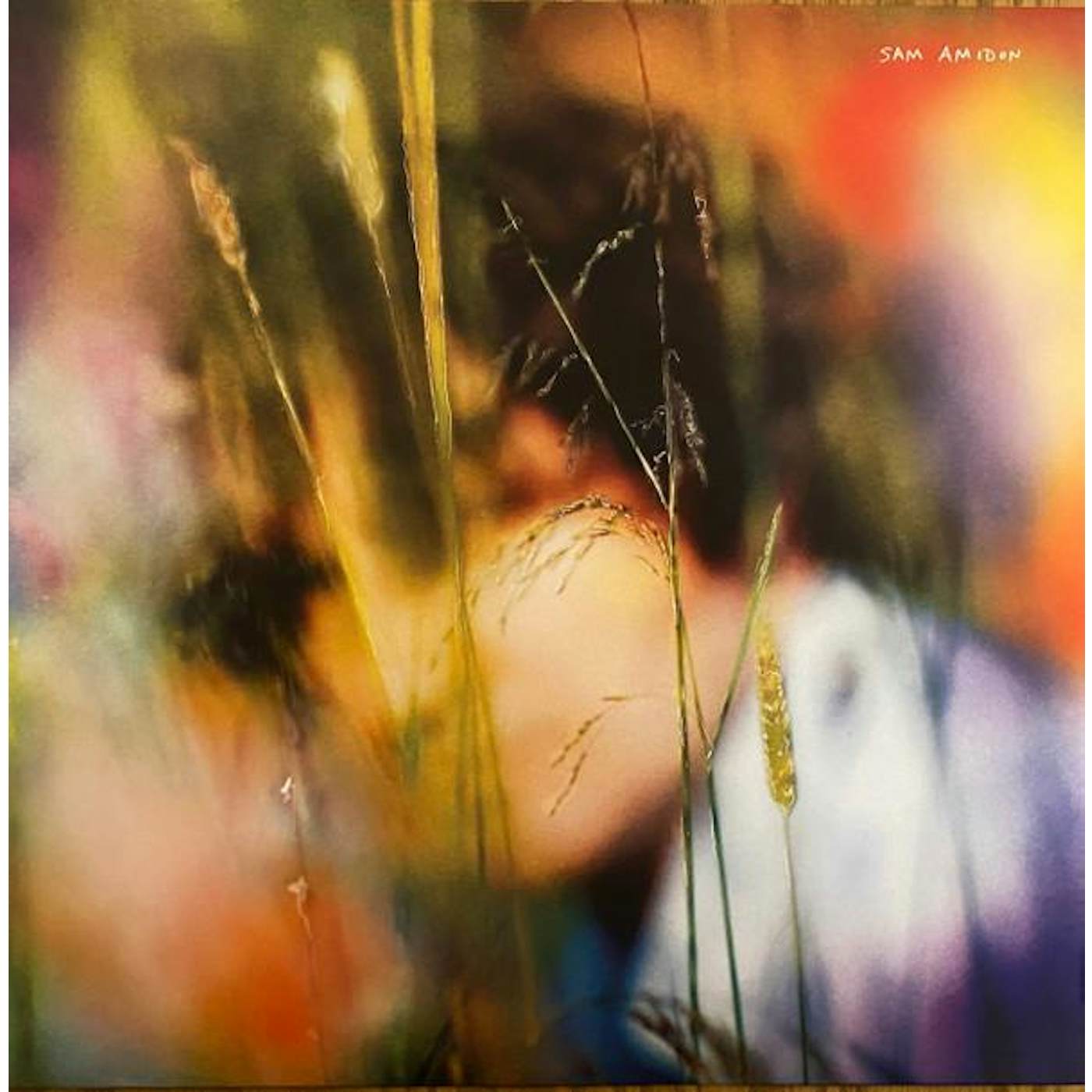 SAM AMIDON (BLUEBERRY MARBLE VINYL) Vinyl Record