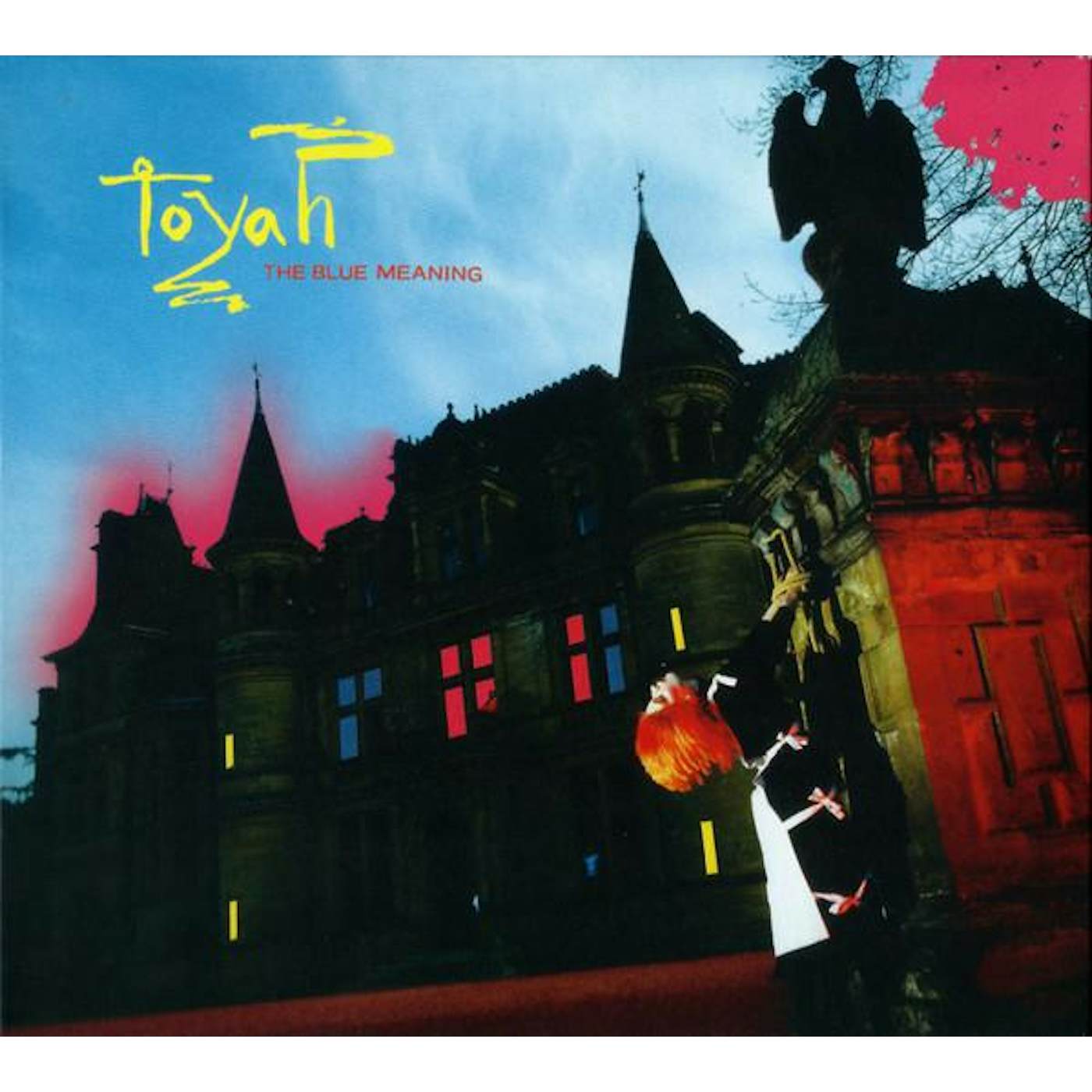 Toyah BLUE MEANING (2CD/DVD/DELUXE DIGIPAK) CD