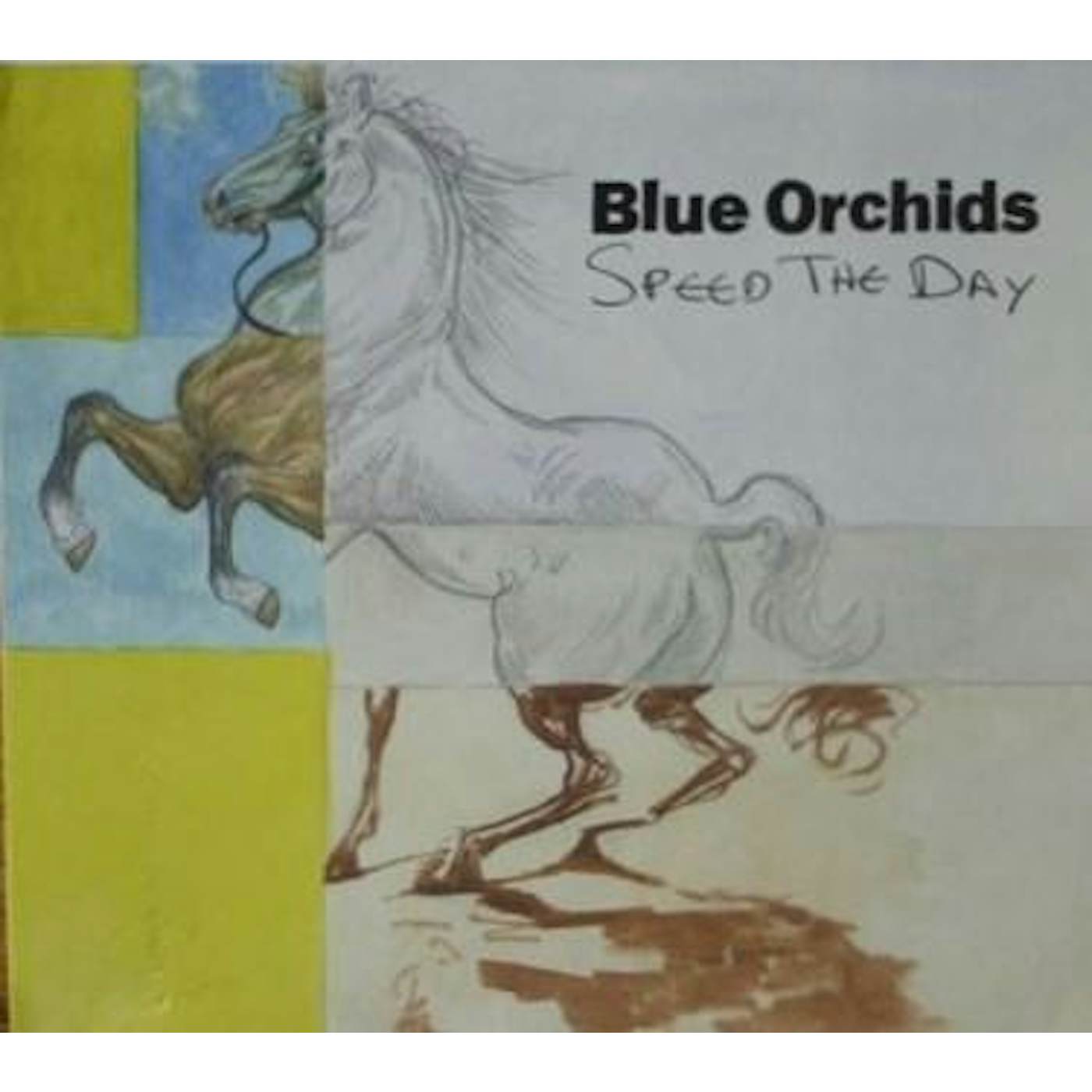 Blue Orchids SPEED THE DAY CD