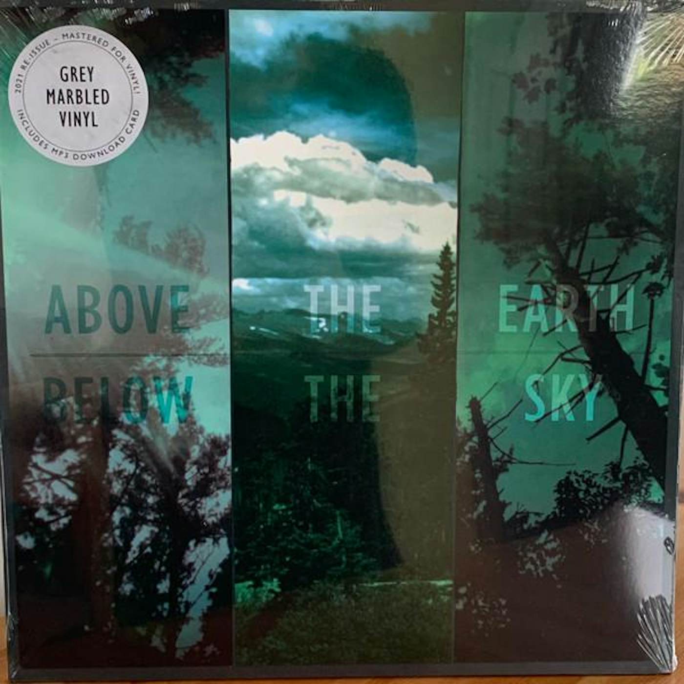 If These Trees Could Talk ABOVE THE EARTH, BELOW THE SKY (GREY MARBLED VINYL) Vinyl Record