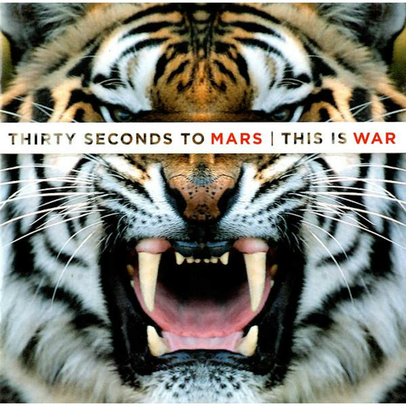 Thirty Seconds To Mars THIS IS WAR CD
