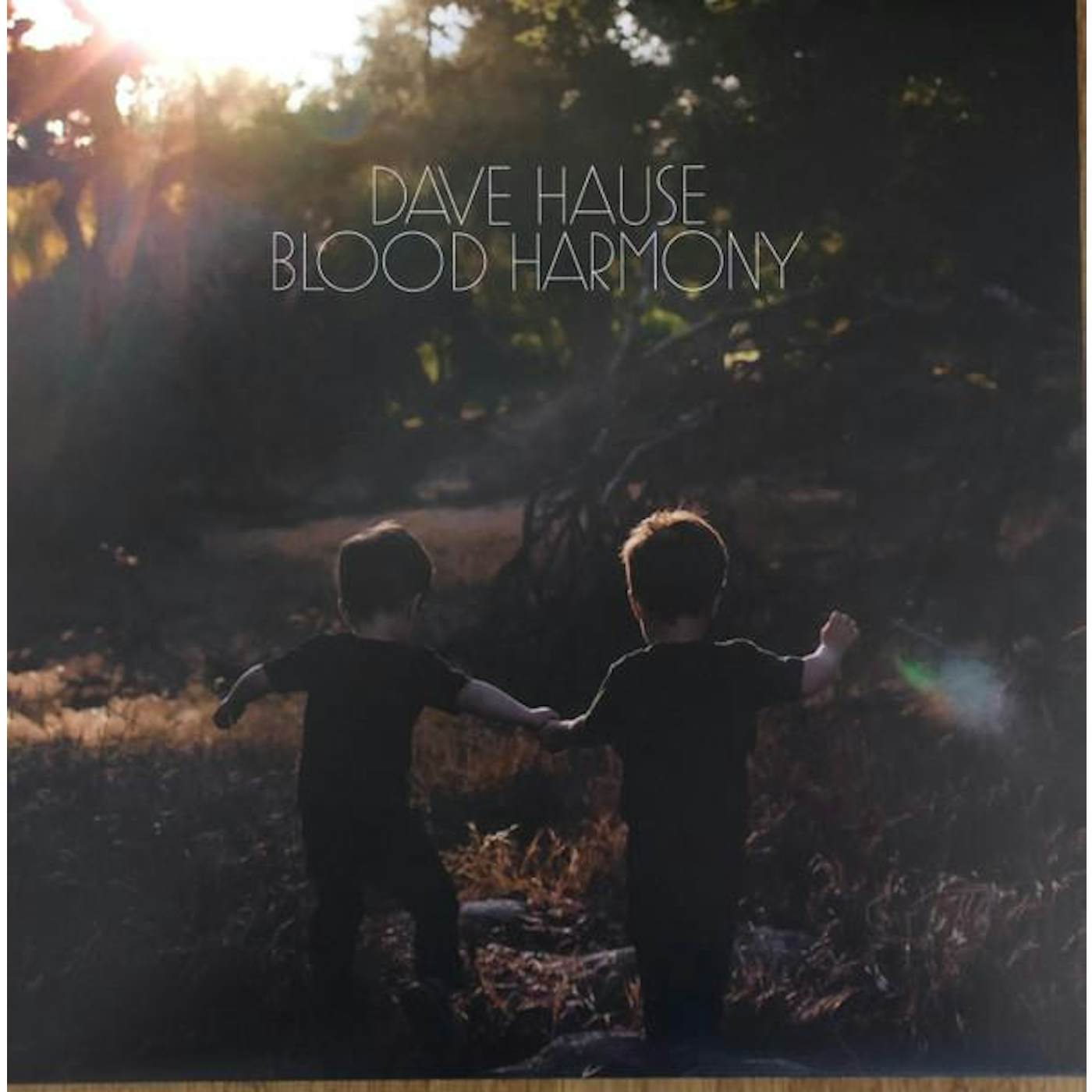 Dave Hause Blood Harmony Vinyl Record