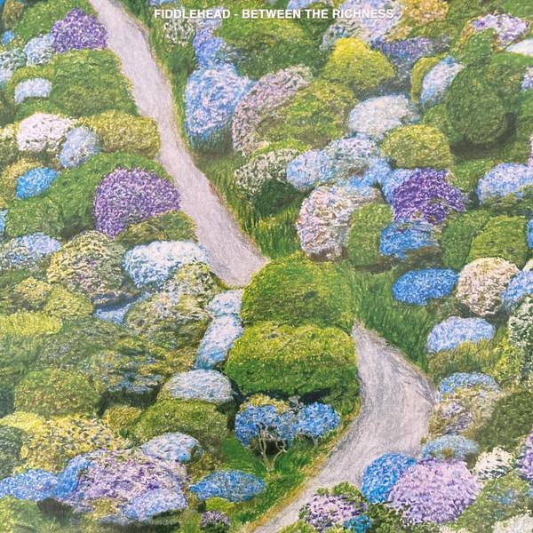 Fiddlehead Shirts,Fiddlehead Merch,Fiddlehead Hoodies,Fiddlehead Vinyl