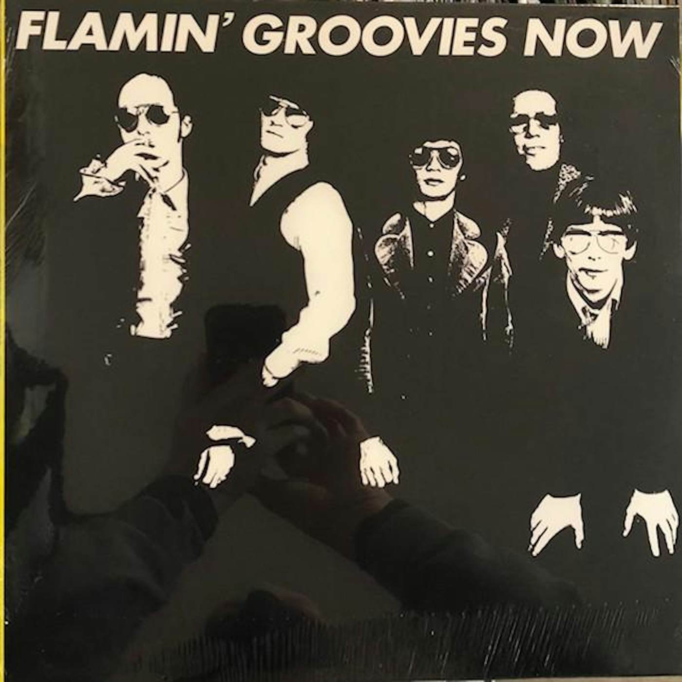 Flamin' Groovies Now Vinyl Record