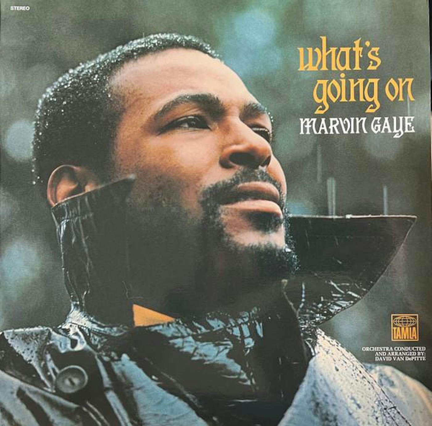 Marvin Gaye What's Going On Vinyl Record 