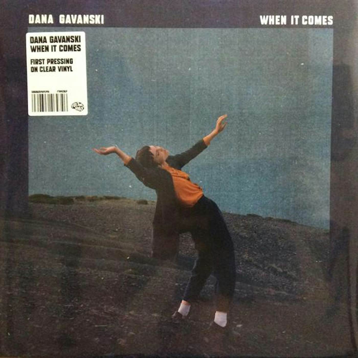 Dana Gavanski WHEN IT COMES Vinyl Record