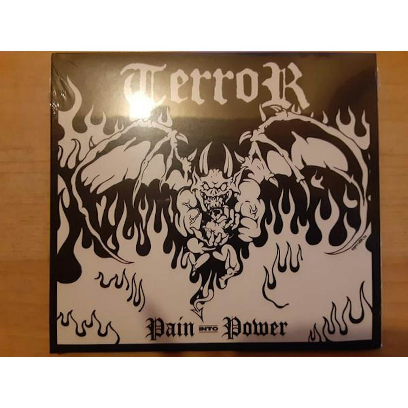 Terror PAIN INTO POWER CD