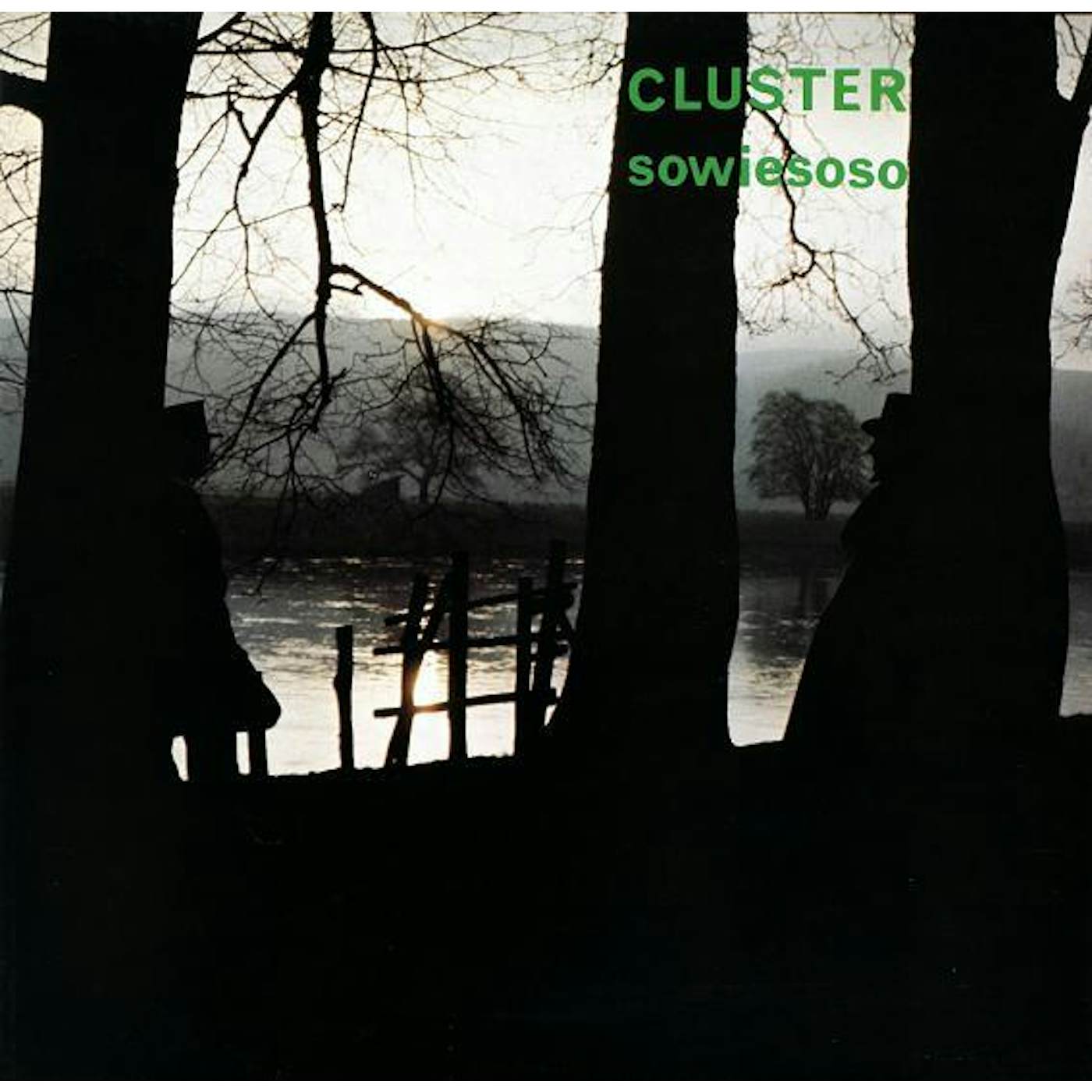 Cluster Sowiesoso Vinyl Record