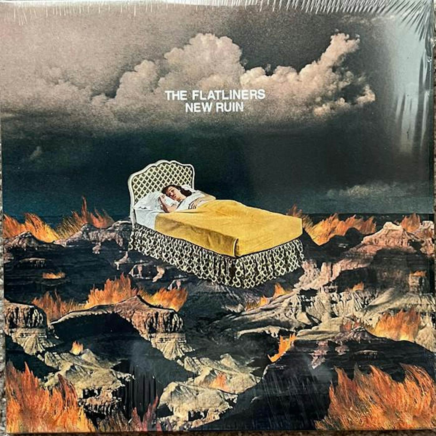 The Flatliners New Ruin Vinyl Record