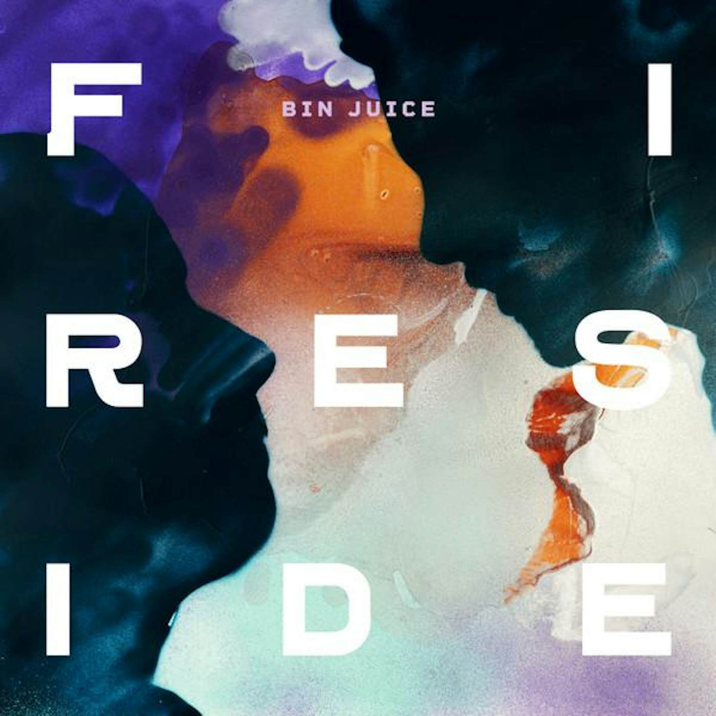 Fireside BIN JUICE Vinyl Record