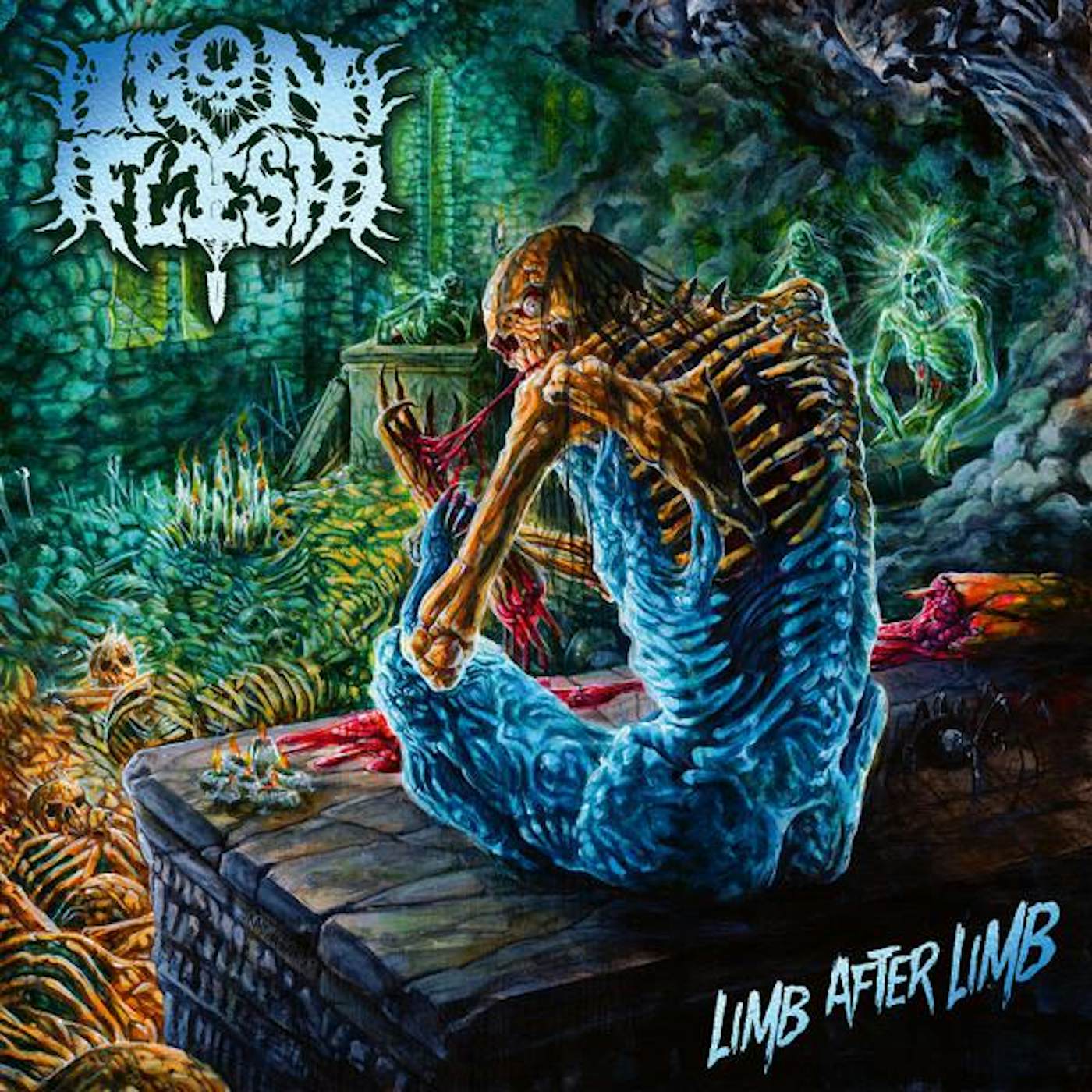 Iron Flesh LIMB AFTER LIMB CD