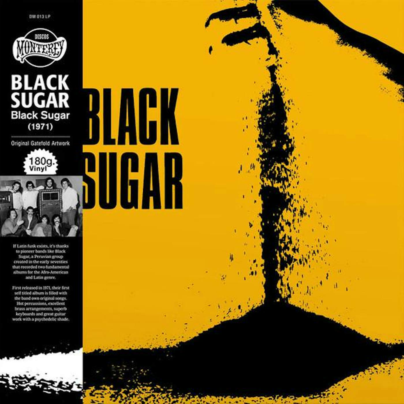 Black Sugar Vinyl Record