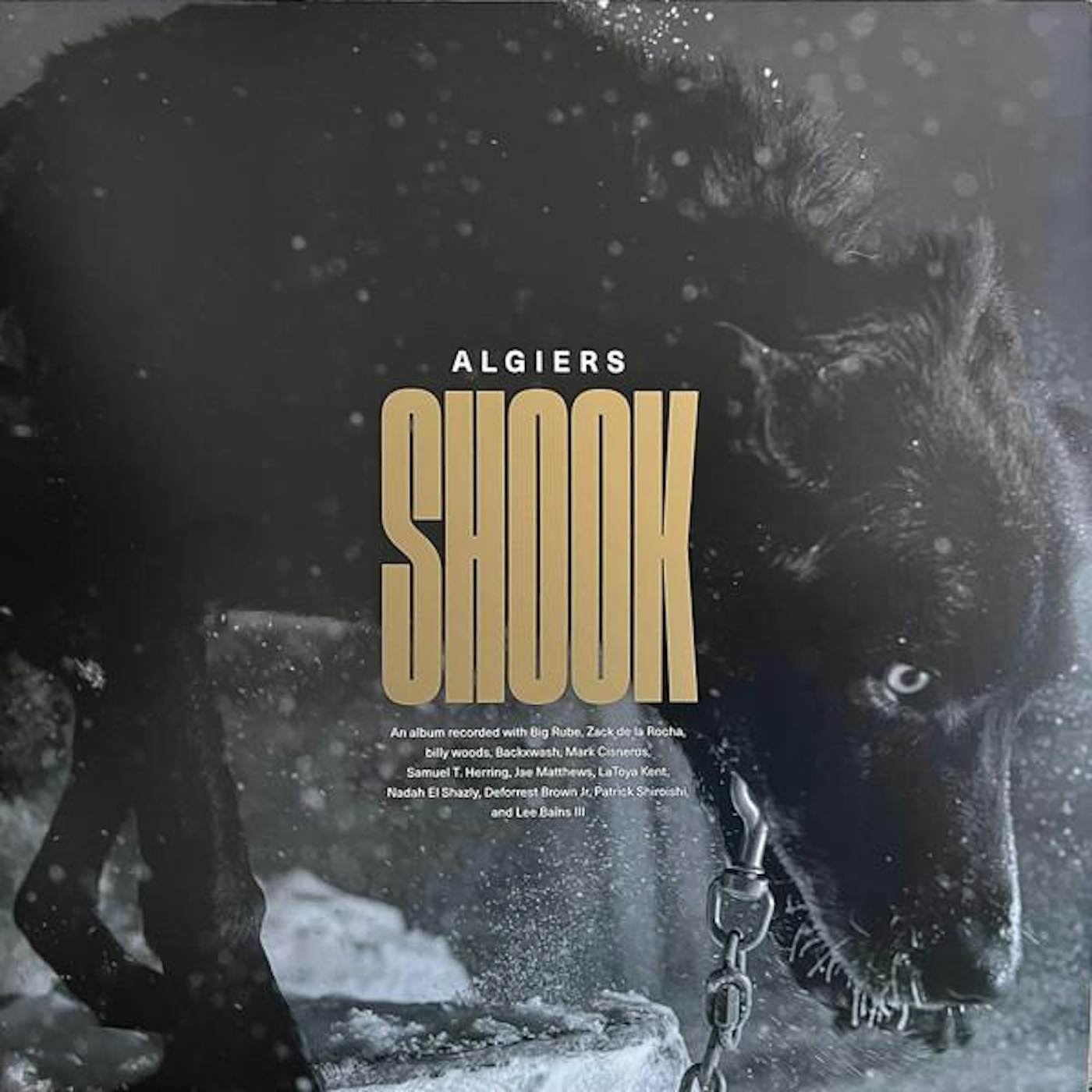 Algiers Shook Vinyl Record