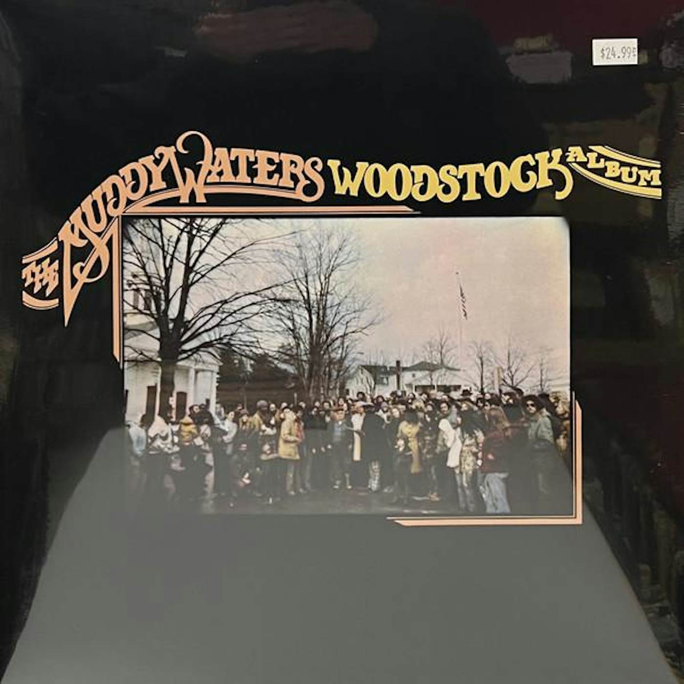 MUDDY WATERS WOODSTOCK ALBUM Vinyl Record