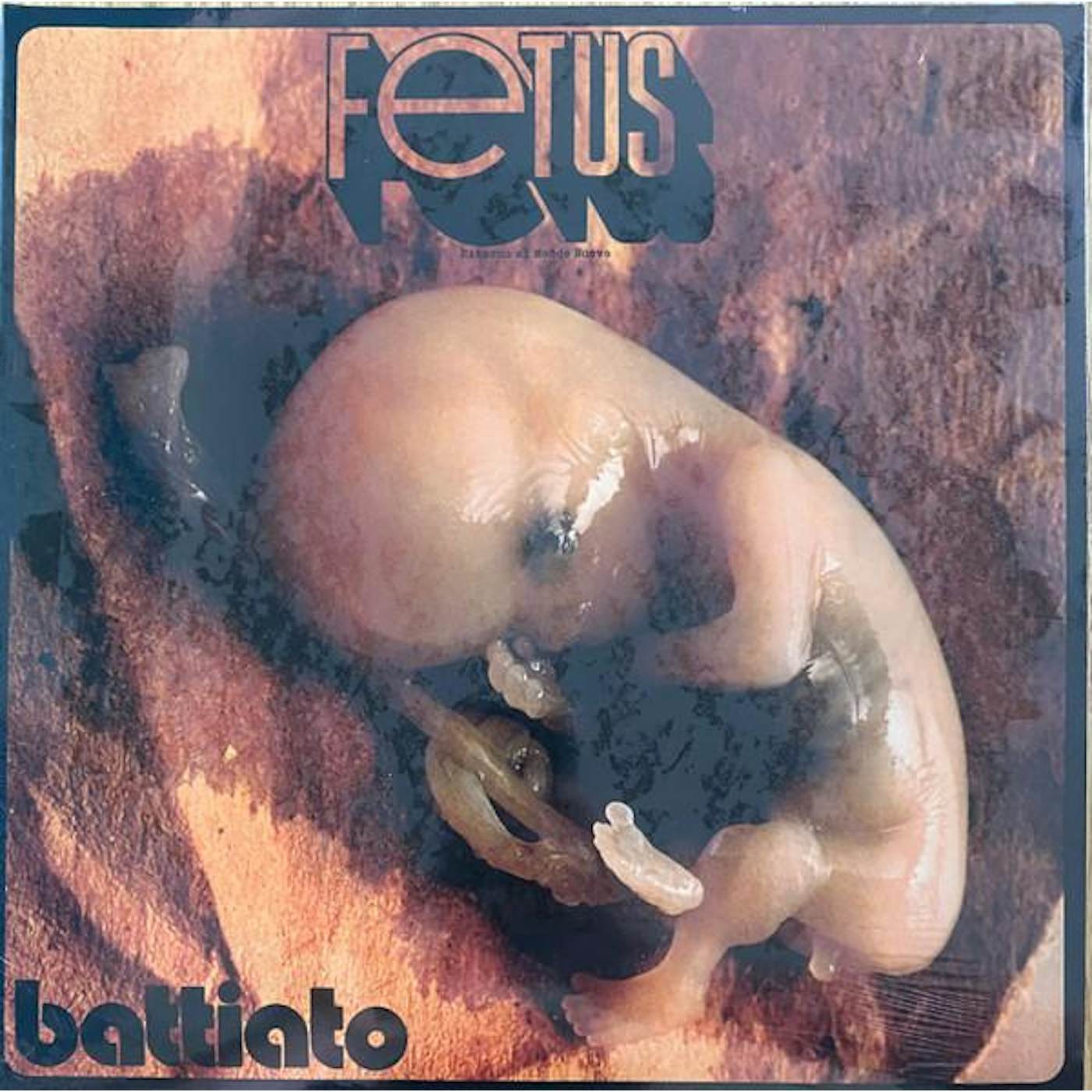 Franco Battiato FETUS (180G) Vinyl Record
