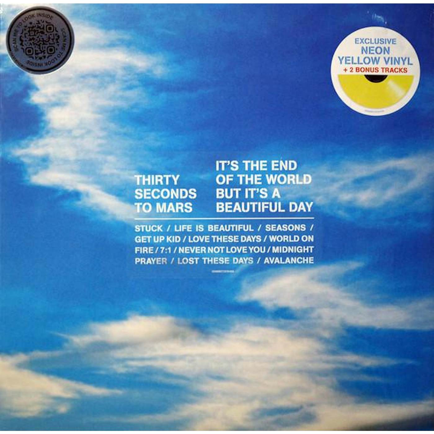 Thirty Seconds To Mars IT'S THE END OF THE WORLD BUT IT'S A BEAUTIFUL DAY Vinyl Record