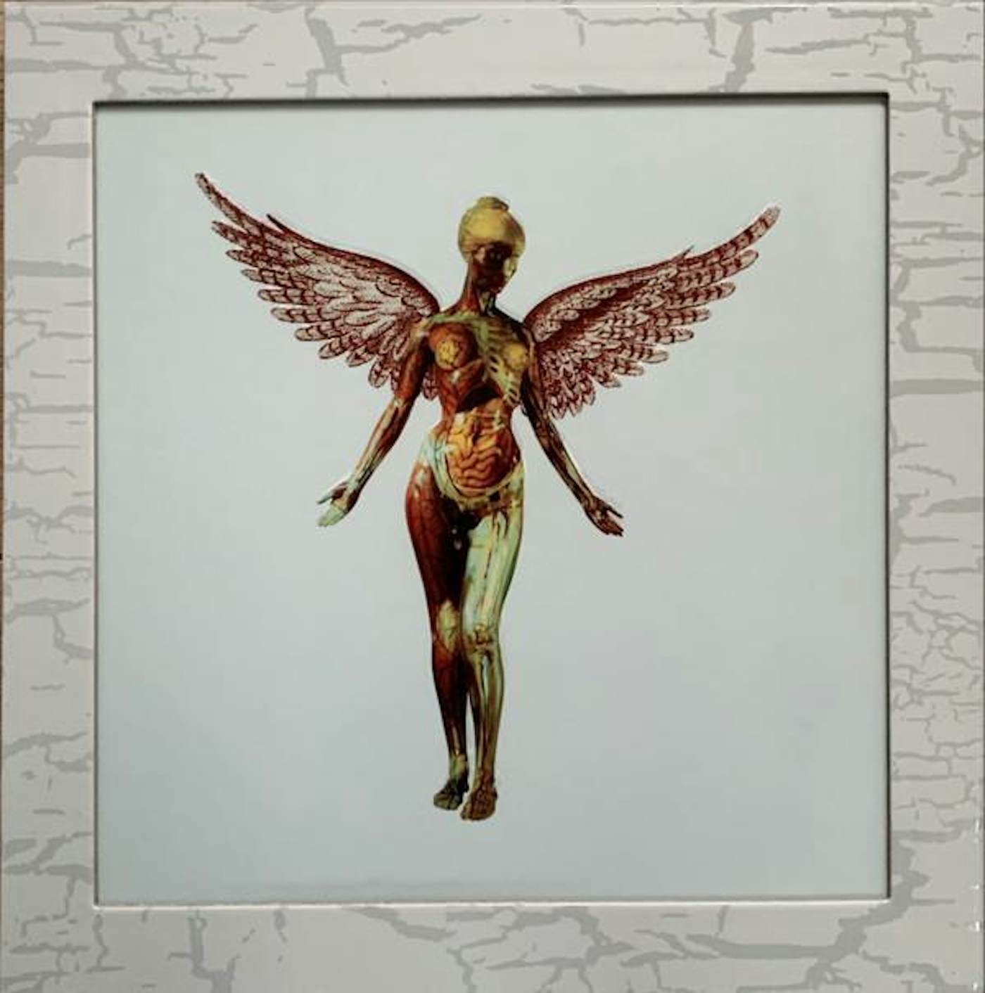 Nirvana IN UTERO (30TH ANNIVERSARY) (5CD) CD