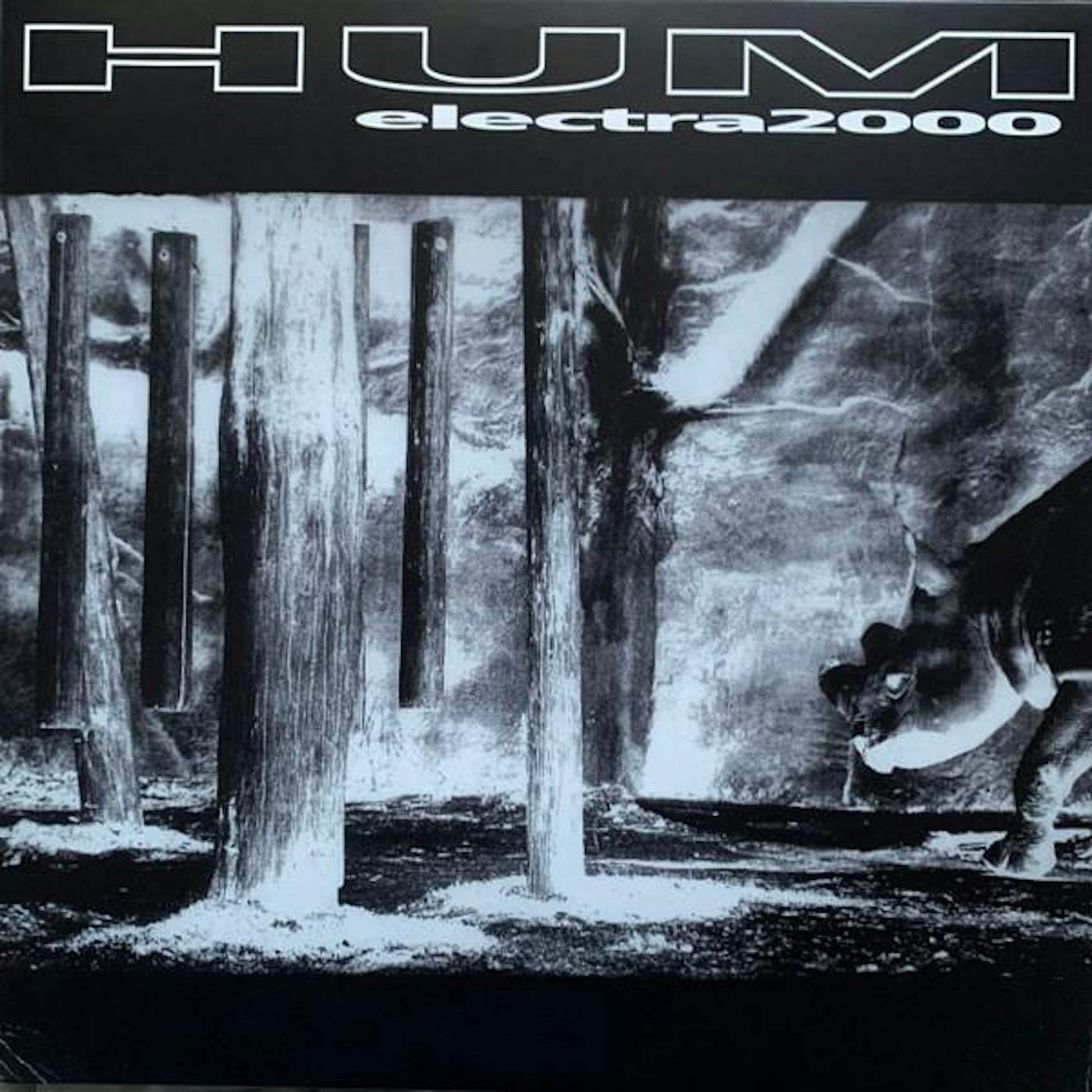 Hum Electra 2000 (2LP) Vinyl Record