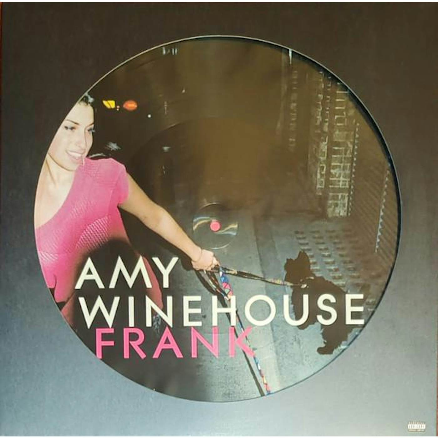 Amy Winehouse FRANK (2LP/PICTURE DISC) Vinyl Record