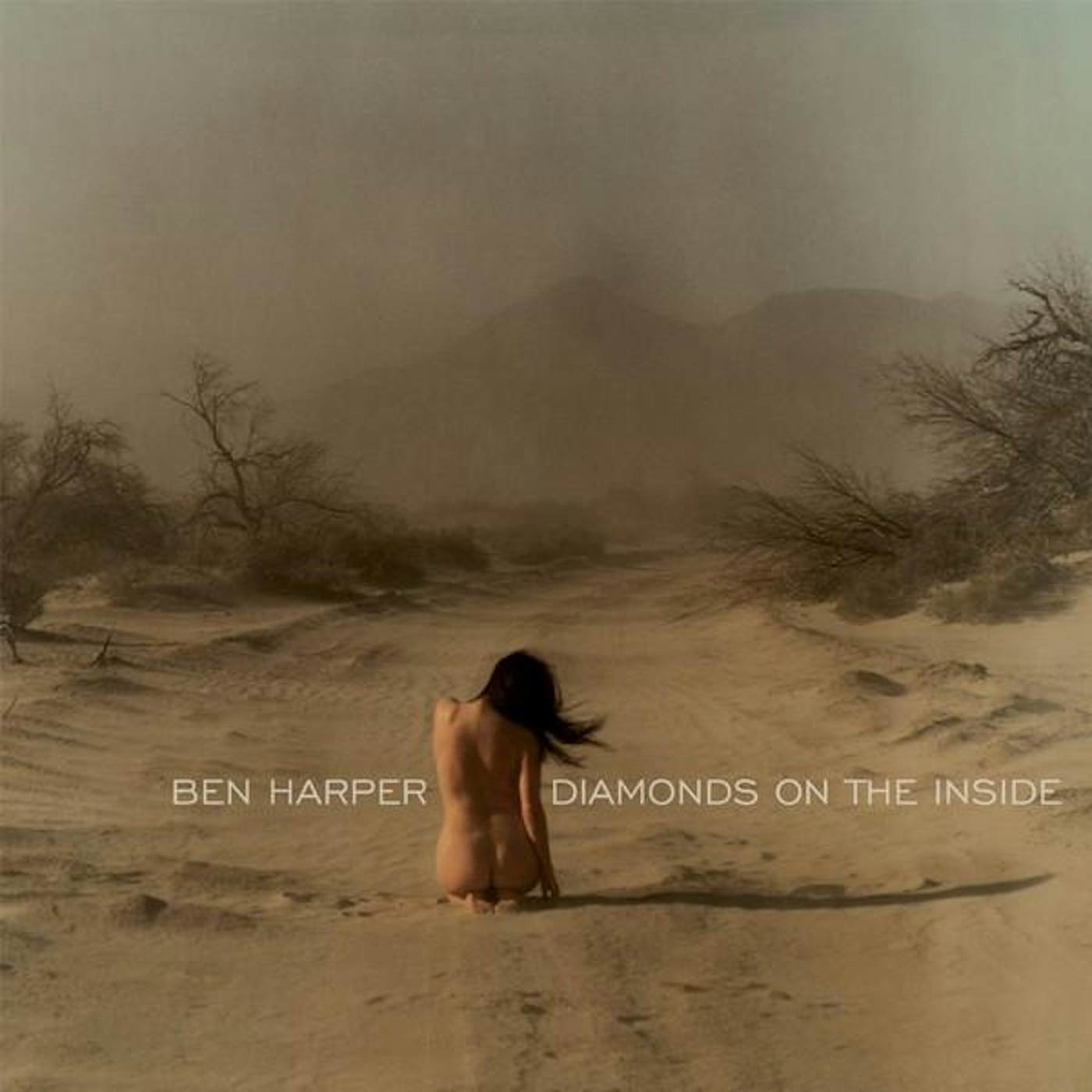 Ben Harper DIAMONDS ON THE INSIDE CD