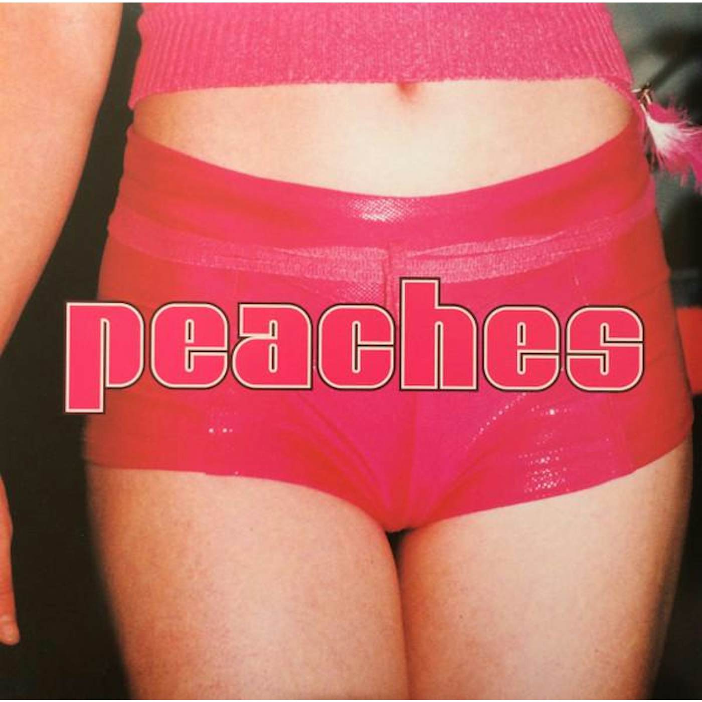 TEACHES OF PEACHES Vinyl Record