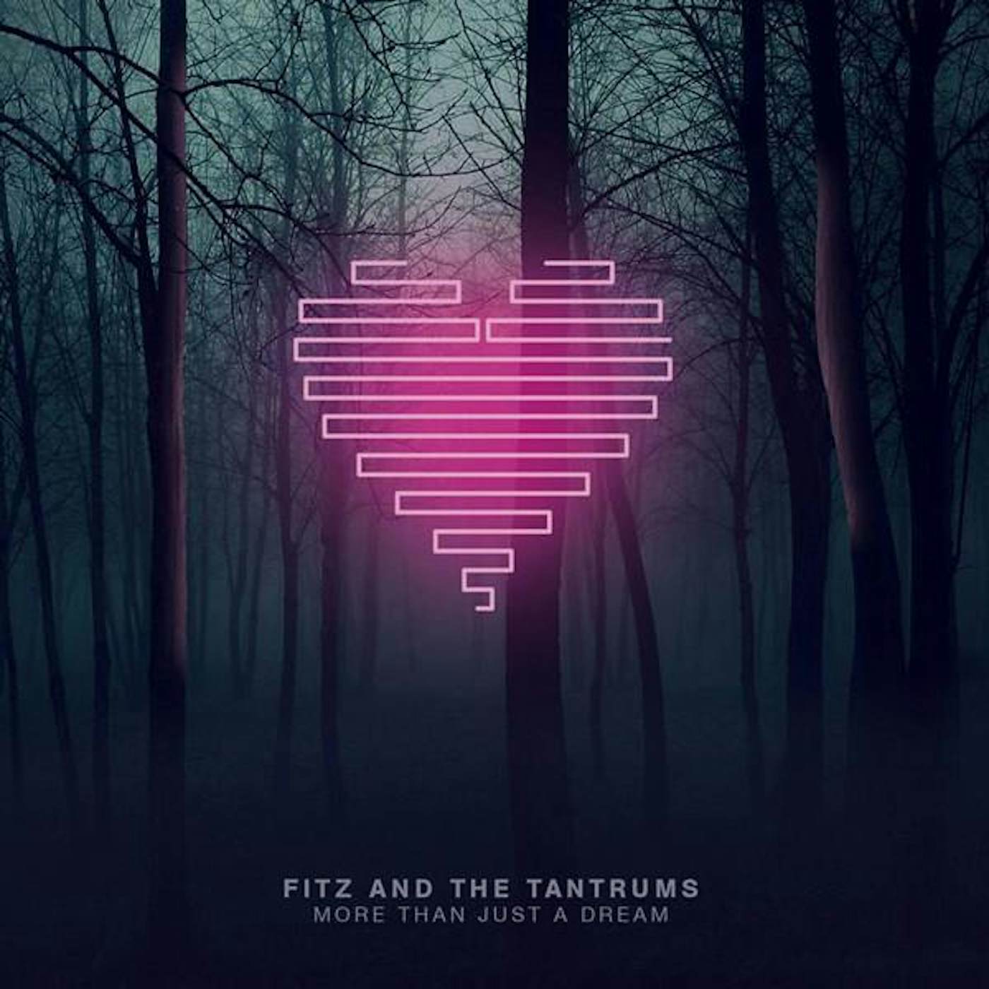Fitz and The Tantrums More Than Just a Dream Vinyl Record